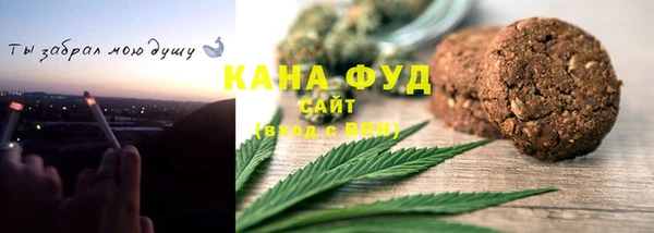 хмурый Алзамай