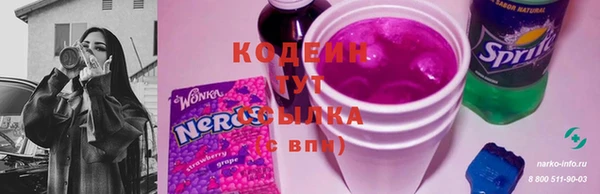 прущие грибы Дегтярск