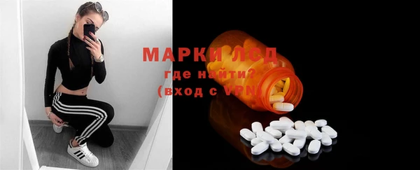 хмурый Алзамай