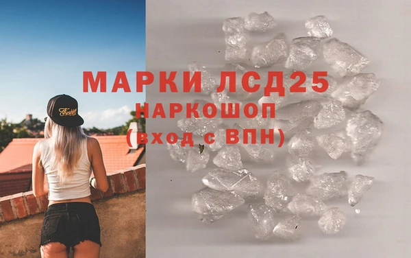 хмурый Алзамай