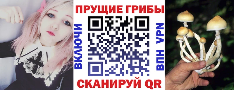 Галлюциногенные грибы GOLDEN TEACHER  сколько стоит  Сосенский 